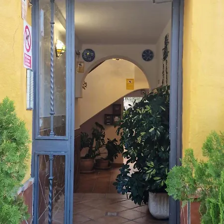 Mi Plaza Con Naranjos