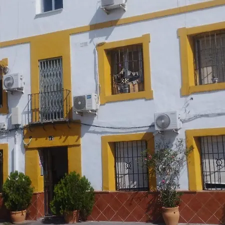 Mi Plaza Con Naranjos *