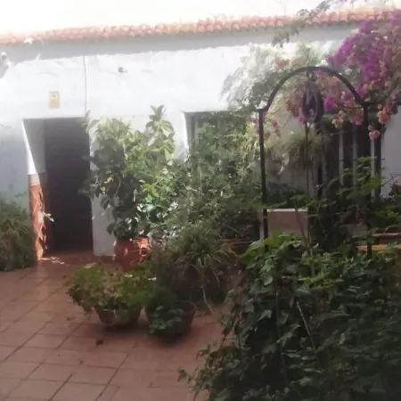 Mi Plaza Con Naranjos Διαμέρισμα