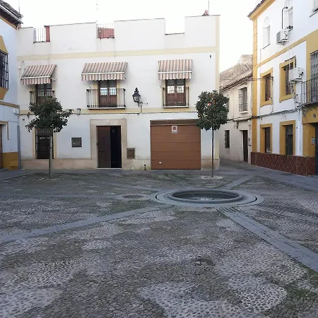 Mi Plaza Con Naranjos