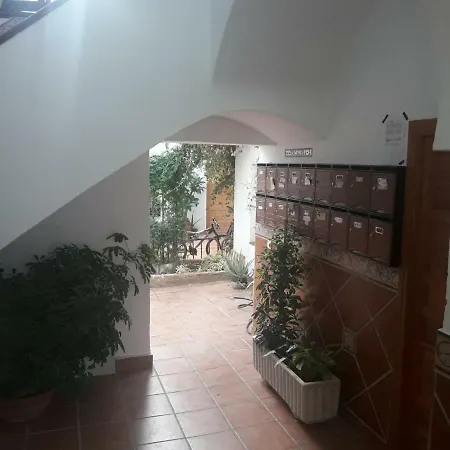 Mi Plaza Con Naranjos