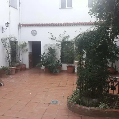 Mi Plaza Con Naranjos